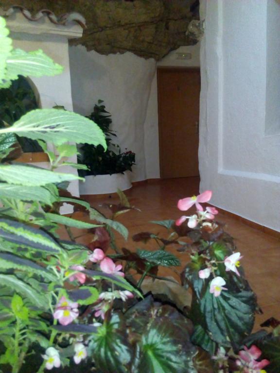 Hostal Batato Vejer de la Frontera Exteriör bild