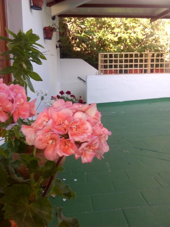 Hostal Batato Vejer de la Frontera Exteriör bild