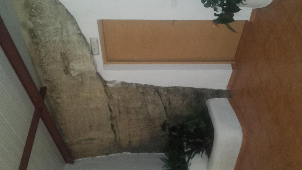 Hostal Batato Vejer de la Frontera Exteriör bild